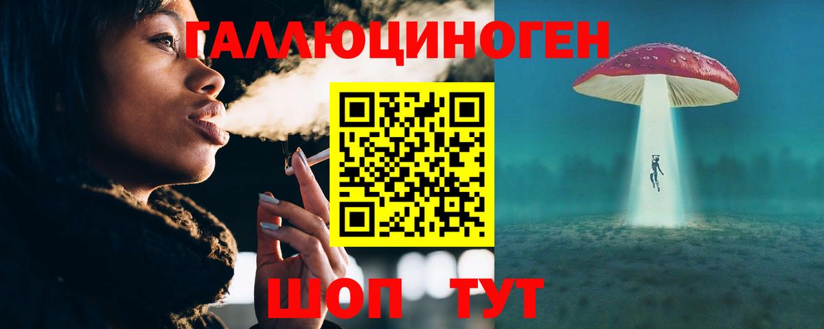 Благодарный  Псилоцибиновые грибы MAGIC MUSHROOMS  Вход с VPN  Псилоцибиновые грибы Psilocybe 